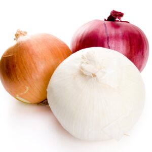 Dehydrated Onion Products