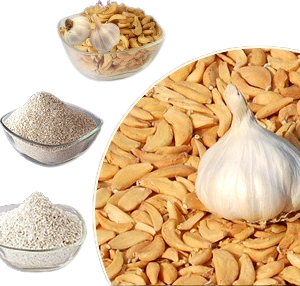 Dehydrated Garlic Products